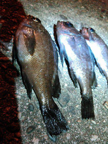 向かい風はしんどい